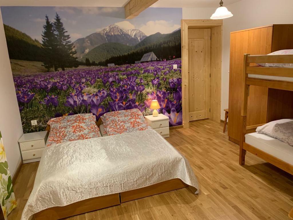 Domek Pod Maciejowa Rabka-Zdrój Extérieur photo